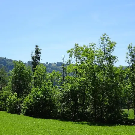 Holiday home Haus Im Gruenen - Gmundennaehe Pinsdorf