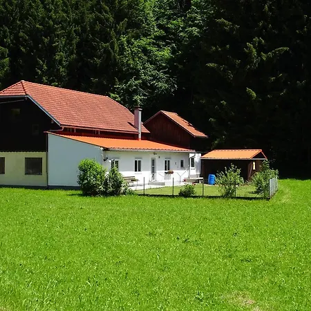 Holiday home Haus Im Gruenen - Gmundennaehe Pinsdorf